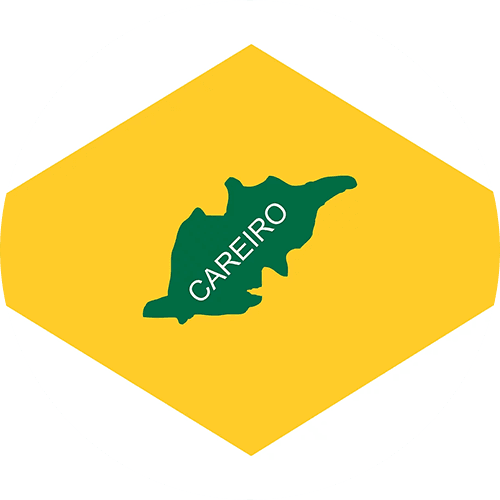 CAREIRO-3_converted