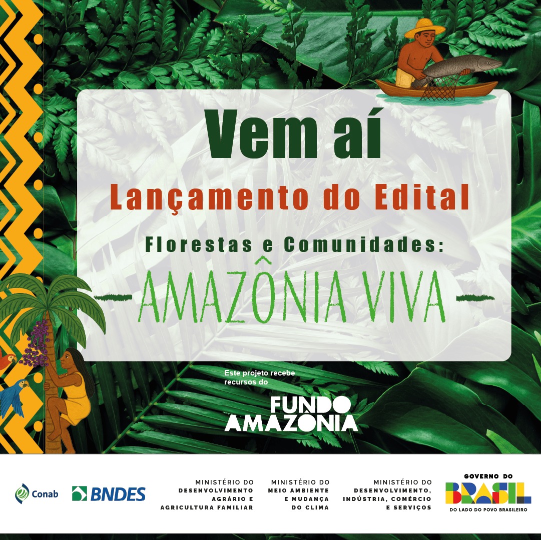 WhatsApp Image 2026-02-09 at 13.05.39