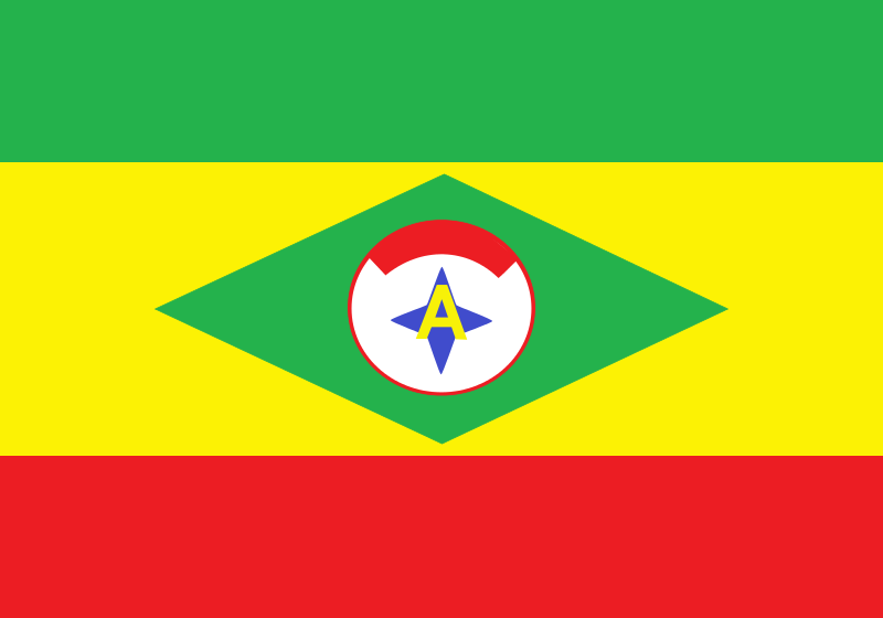 Bandeira de Alvarães