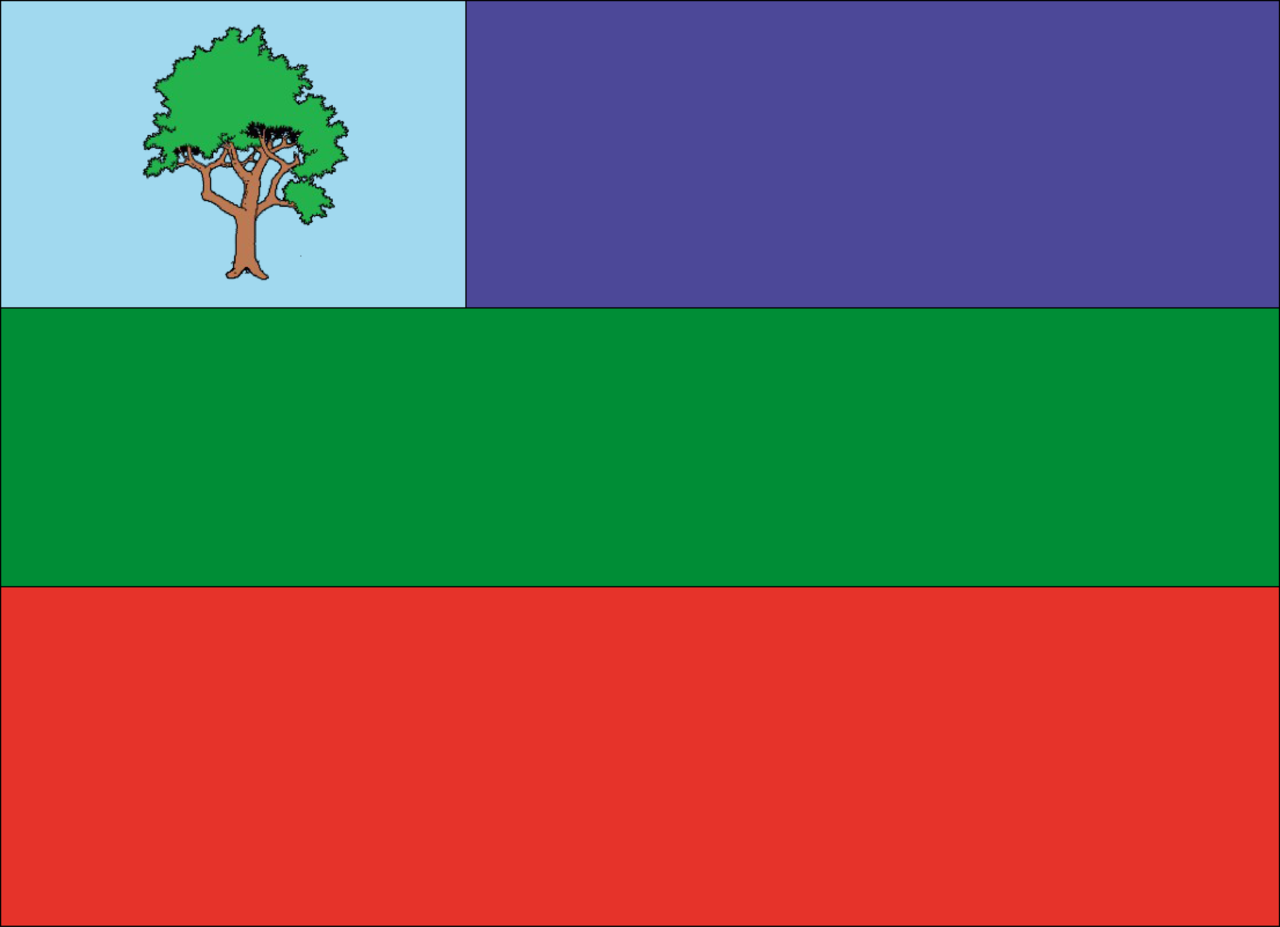 Bandeira de Anamã