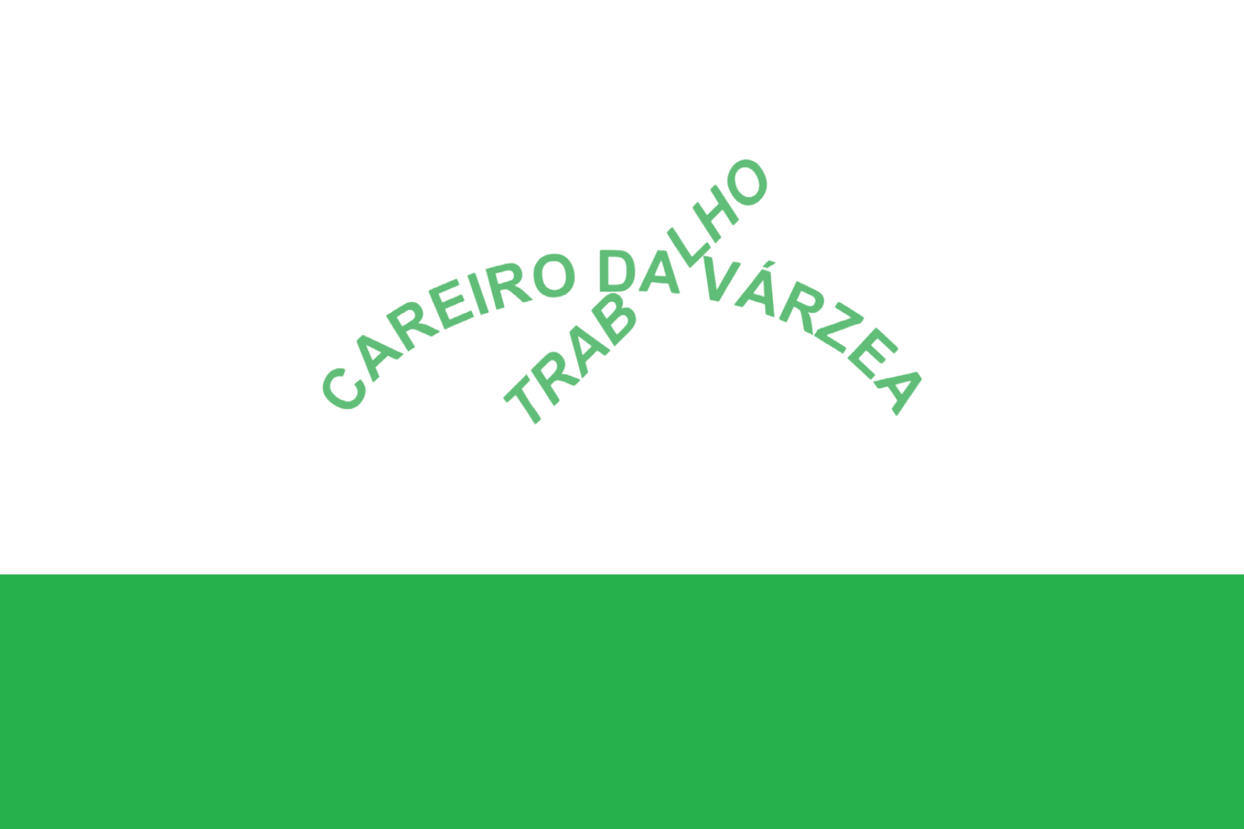 Bandeira de Careiro da Várzea