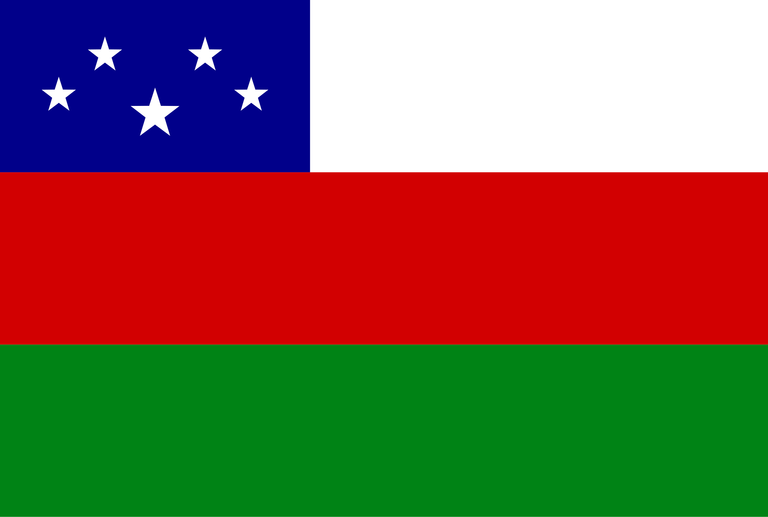 Bandeira de Fonte Boa
