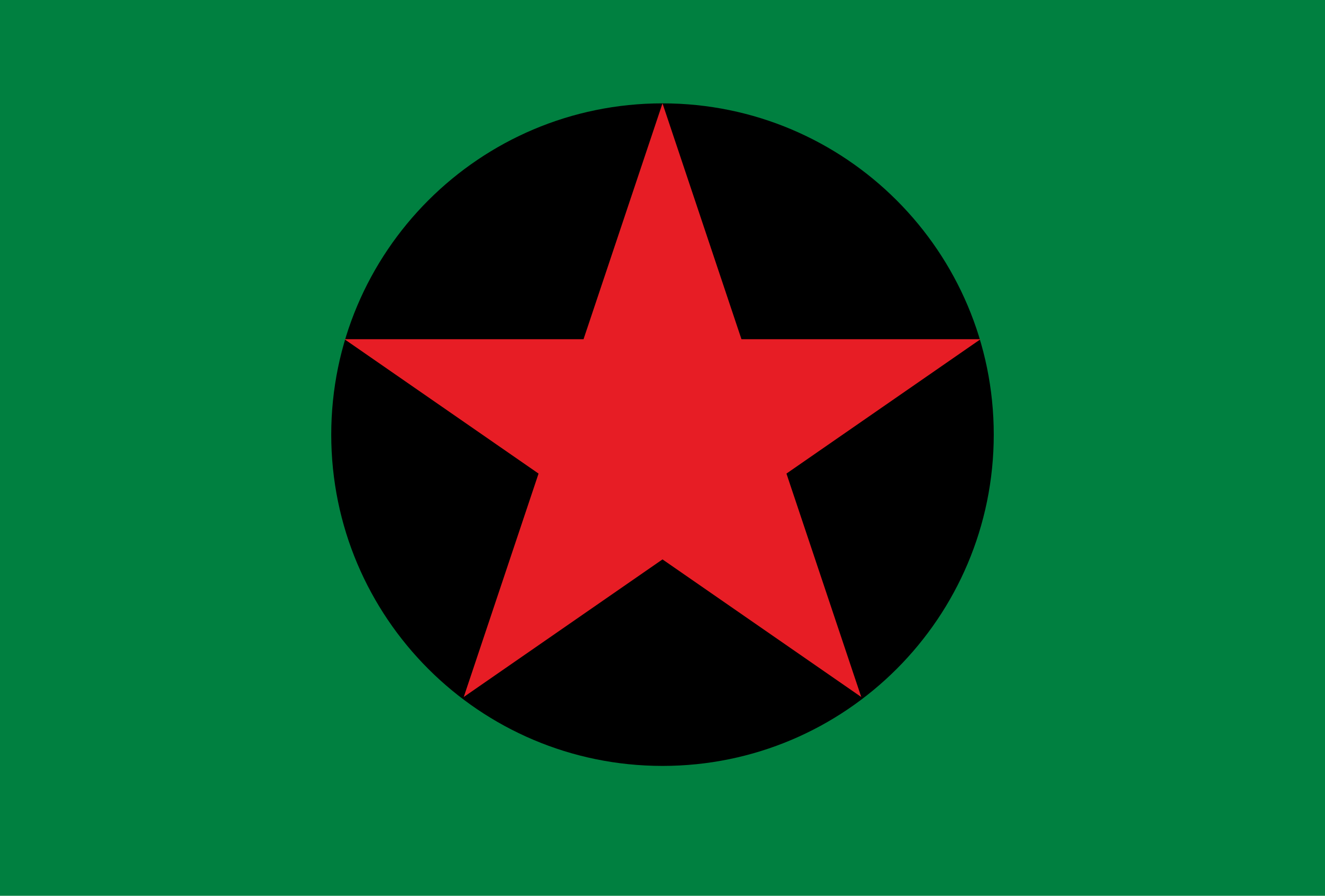 Bandeira de Ipixuna