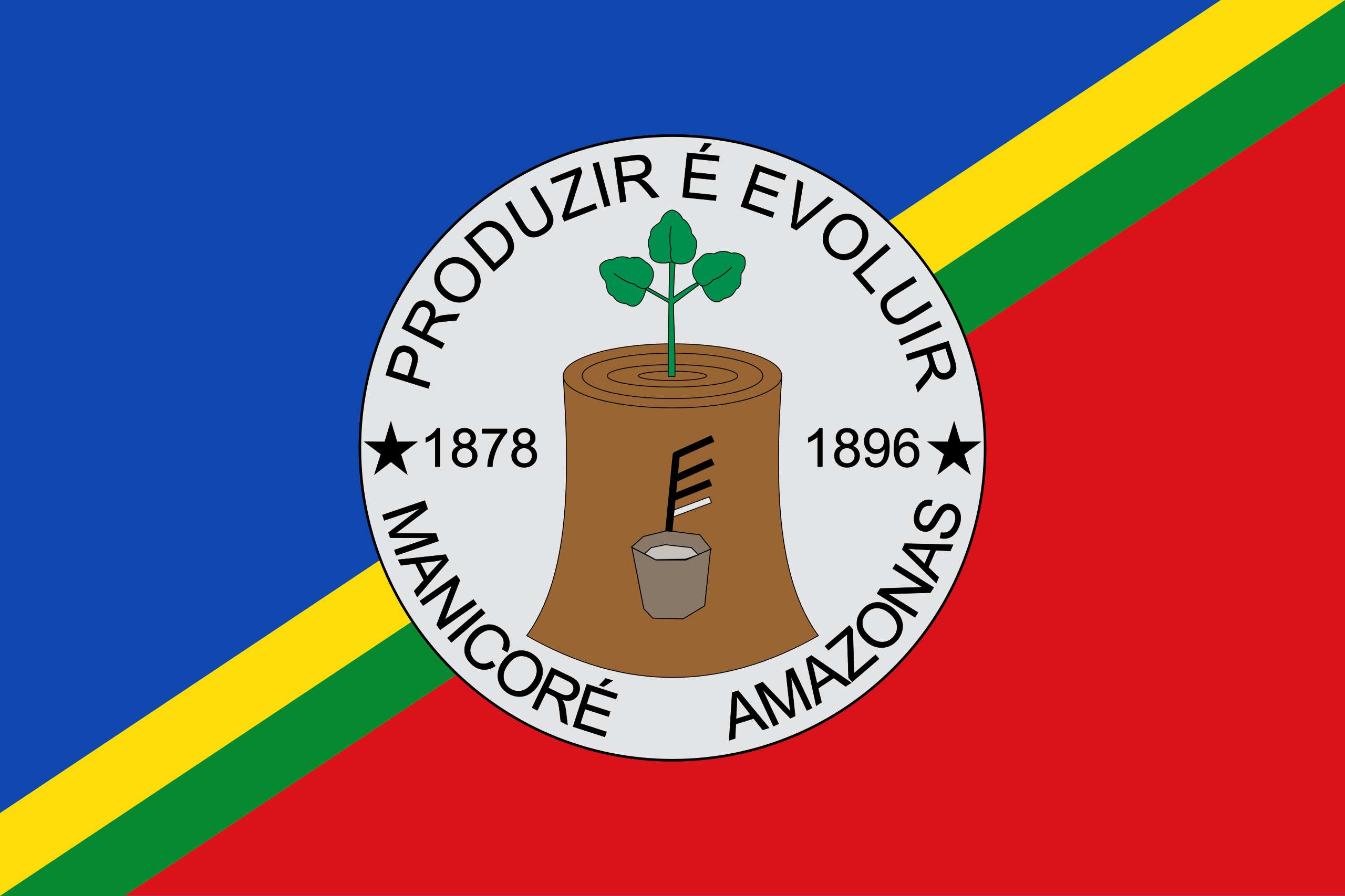 Bandeira de Manicoré