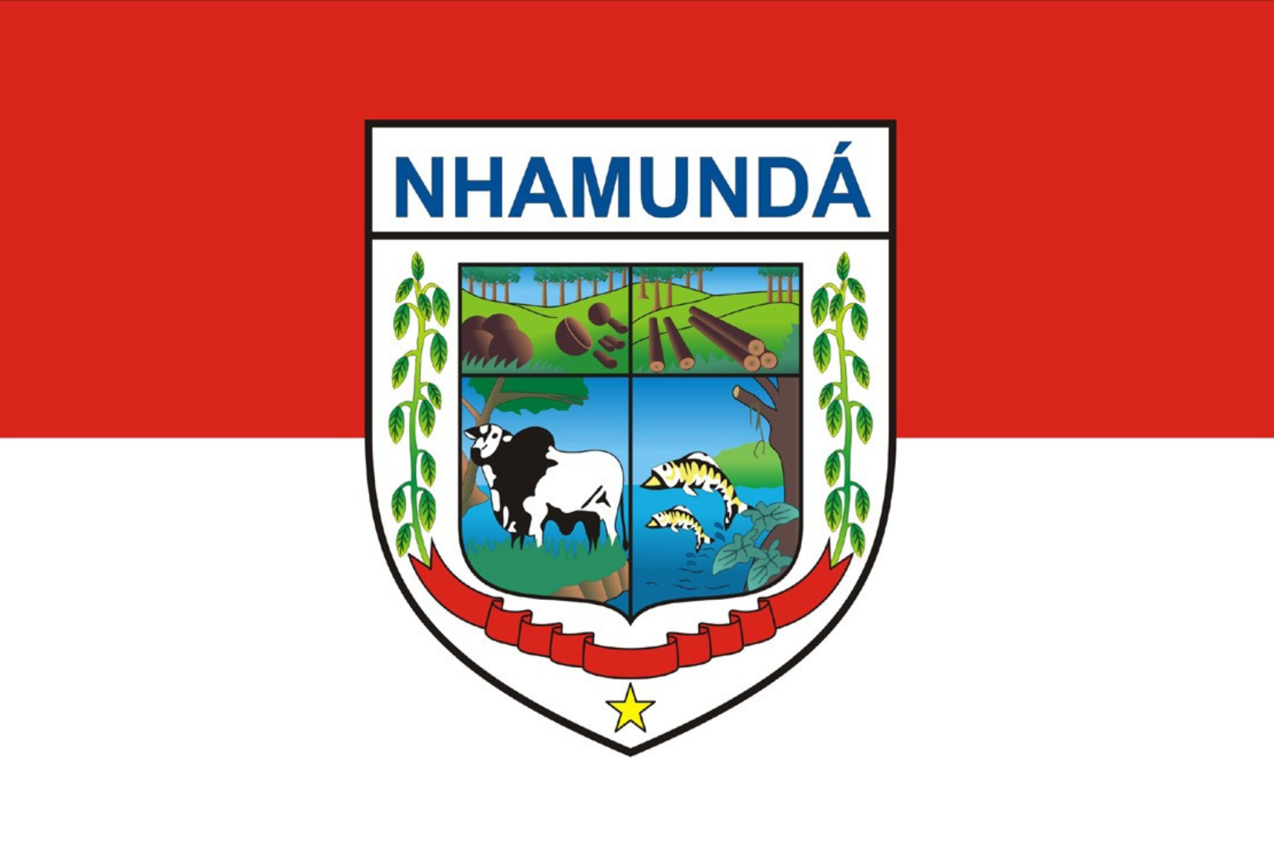 Bandeira de Nhamundá