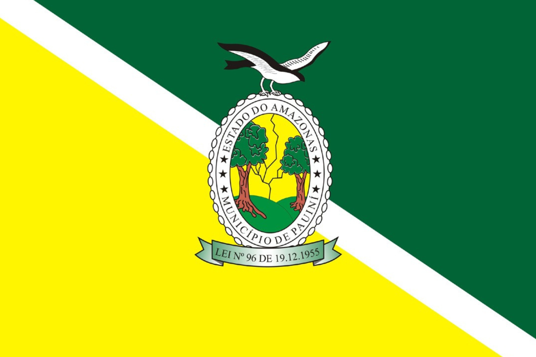 Bandeira de Pauini