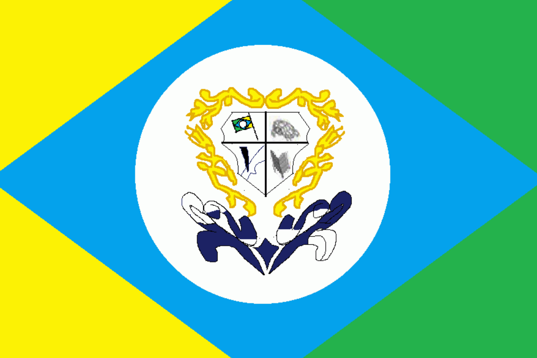 Bandeira de Tapauá