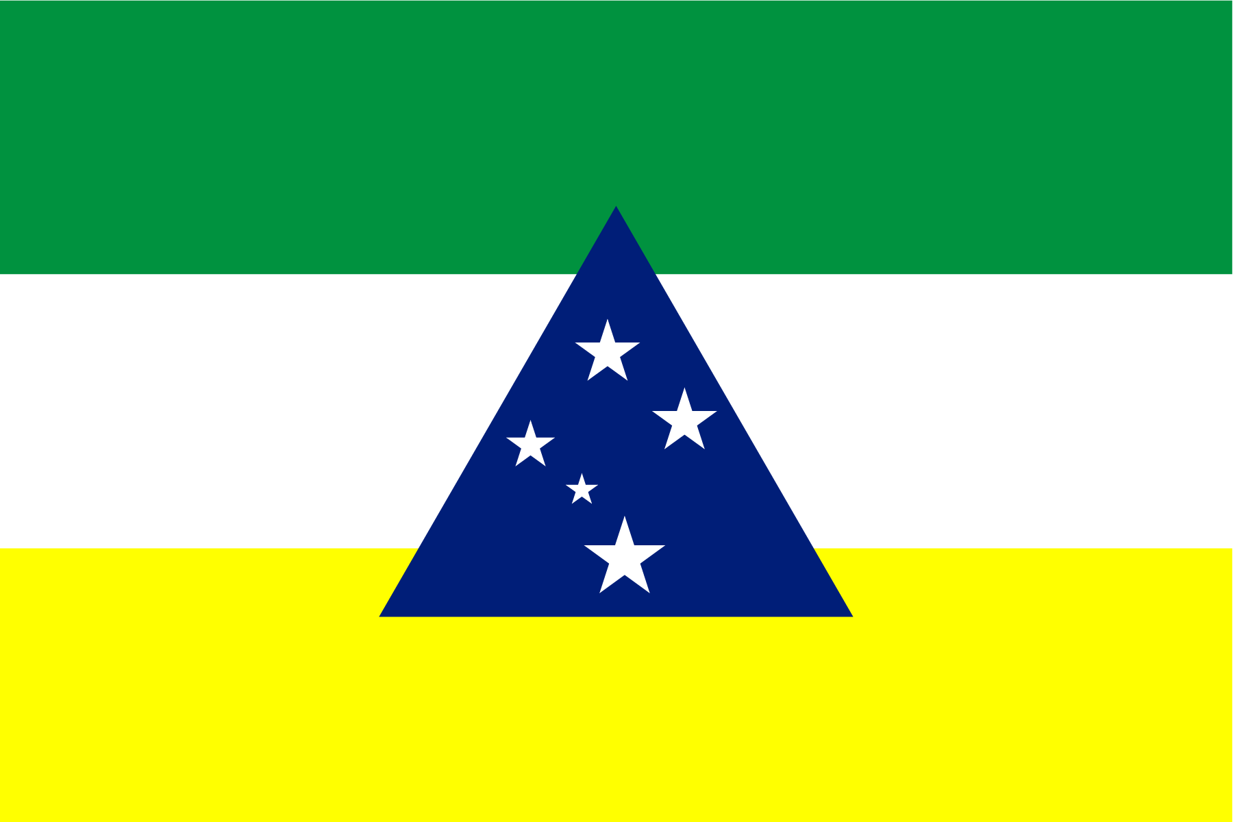 Bandeira de Tefé