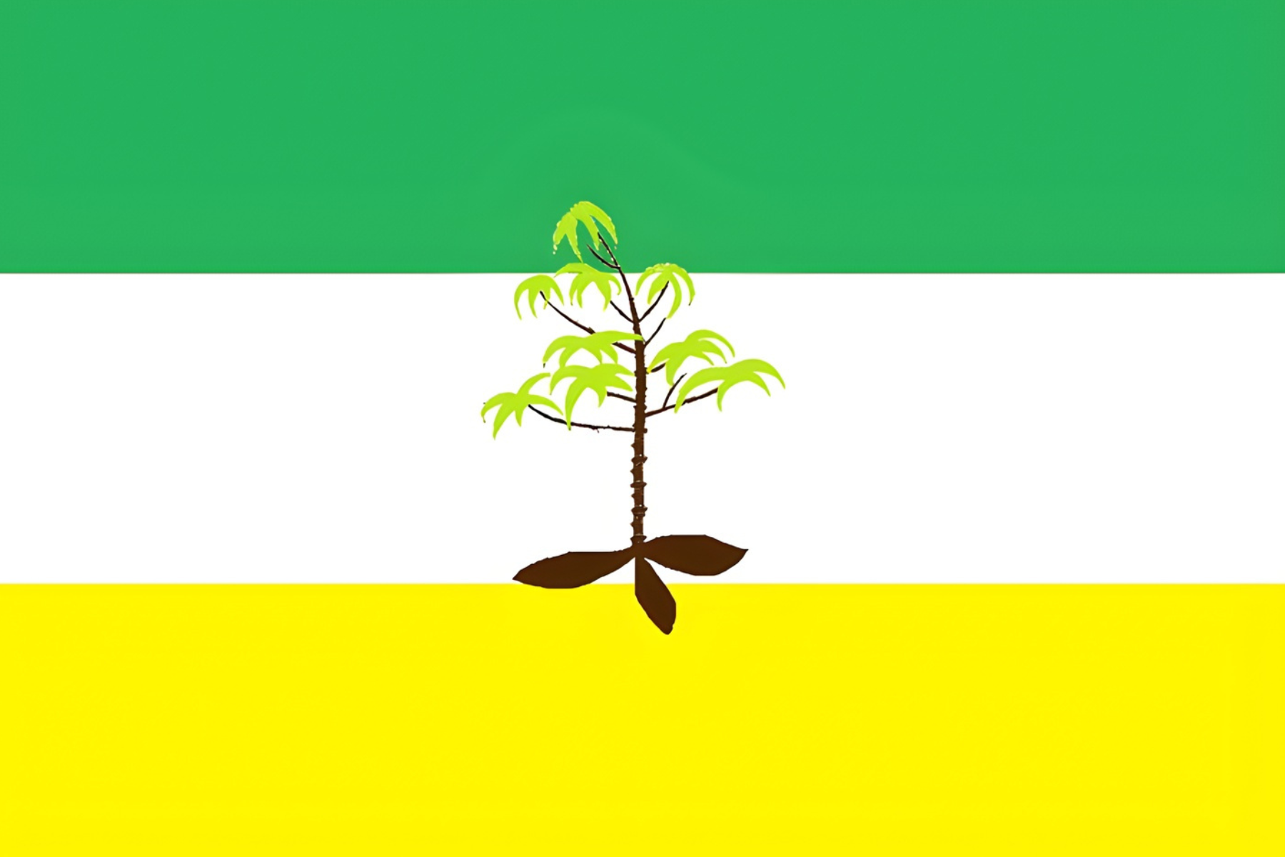 Bandeira de Uarini