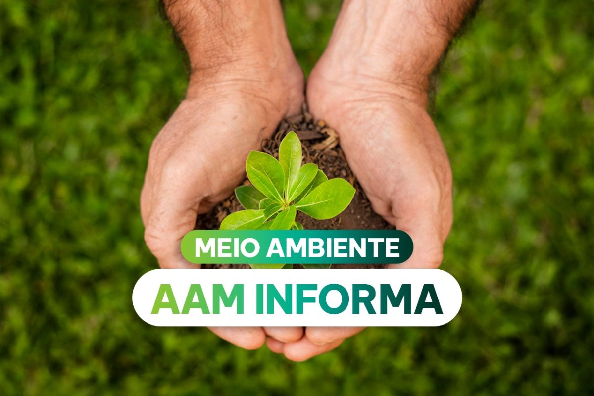 AAM INFORMA - MEIO AMBIENTE
