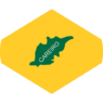 CAREIRO-3_converted