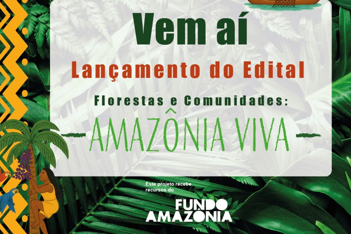 WhatsApp Image 2026-02-09 at 13.05.39