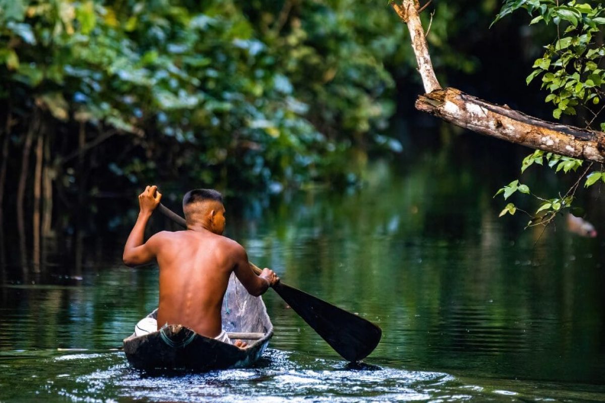 site aam - MEIO AMBIENTE