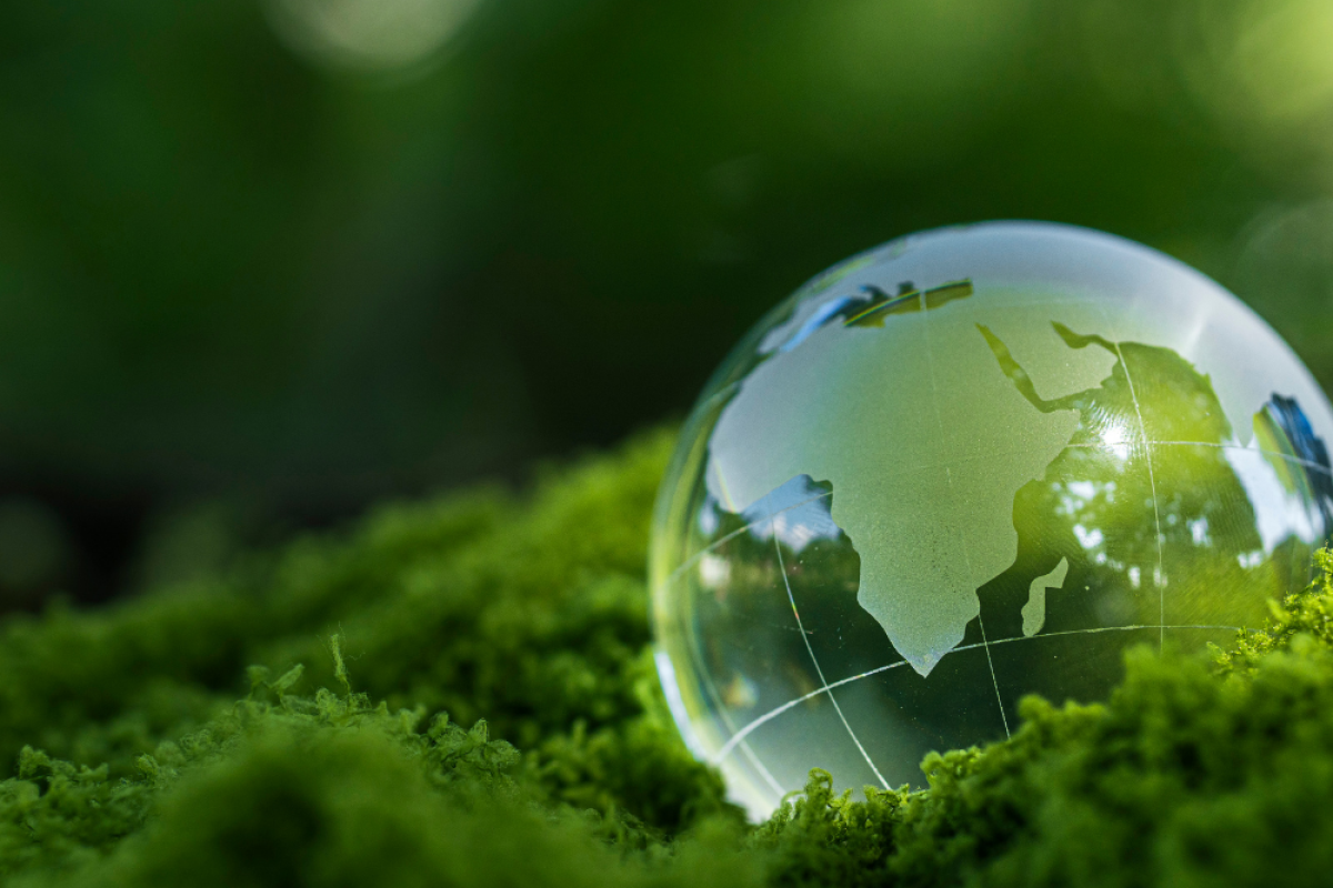 site aam.png - icms ecológico